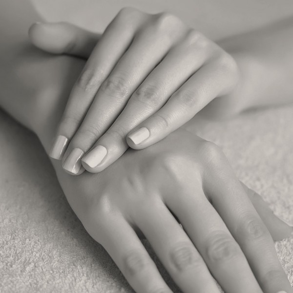 Jacksonville fl Plastic Surgeon - Jacksonville Plastic Surgery